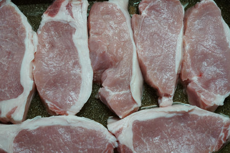 Pieces of raw meatの写真素材