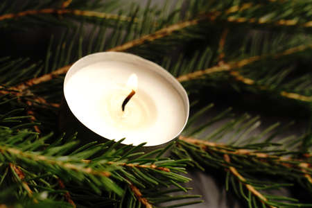 A burning candle lies on the fir branches. Dark background. Dim lights. Closeの写真素材