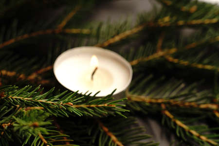 A burning candle lies on the fir branches. Dark background. Dim lights. Closeの写真素材