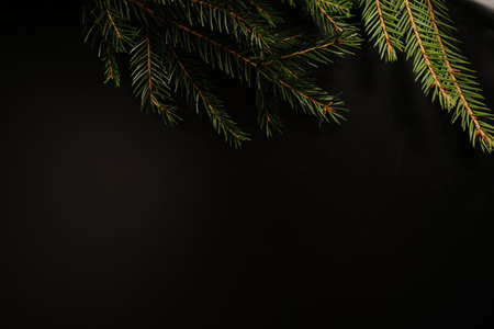 Christmas tree branch on a black background. Close. Dim lights.