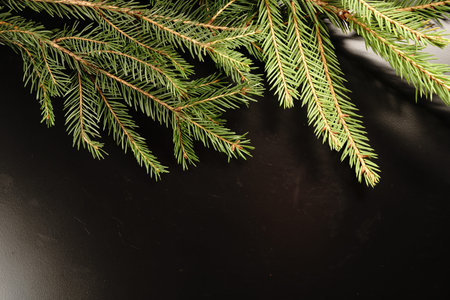 Christmas Tree on a black background. The view from the top. Dim lights.
