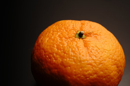 Tangerine close on black background. Dim light that highlights the fruit.の写真素材