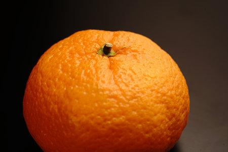Tangerine close on black background. Dim light that highlights the fruit.の写真素材