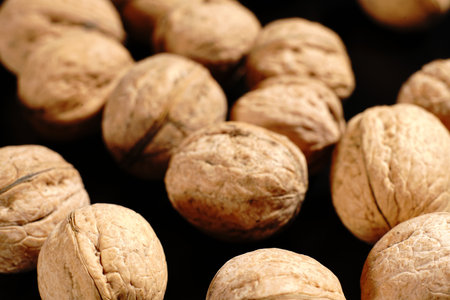Walnuts on a black background. The light was dim.の写真素材