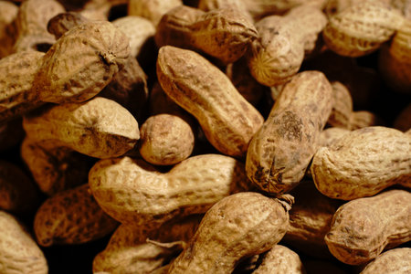 Lots of shelled peanuts on a black background. Closeup.の写真素材