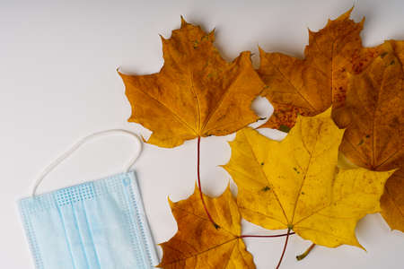 Autumn foliage of yellow and golden color and a medical mask lie on a white background.の写真素材