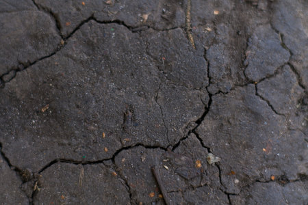 Cracked earth from the scorching sun and heat.の写真素材