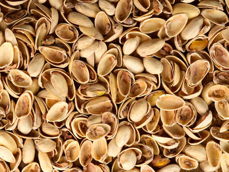 The texture of the shell from eaten pistachios.の写真素材