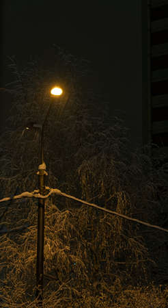 A pillar of city lighting at night. It is snowing heavily. Vertical snapshotの写真素材