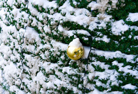 A Christmas tree with toy is close. Happy New Yearの写真素材