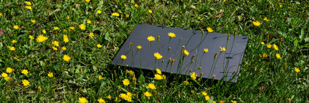 Laptop on the green grass in summer. Outdoor office and the concept of remote workの写真素材