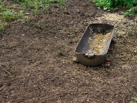 A metal container for feeding livestock stands in the yard in summer.の写真素材