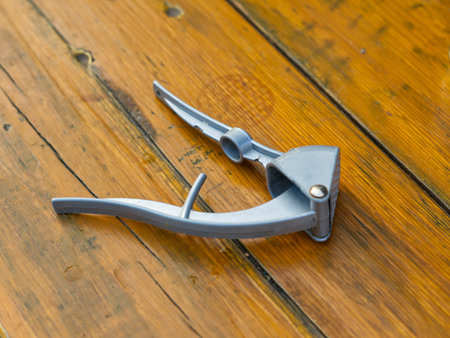 The nut and garlic presser is manual closeup. Devices for cooking. Against the background of a...