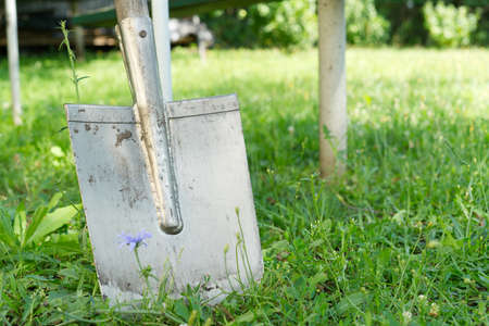 A shovel on the background of green grass in summer.の写真素材