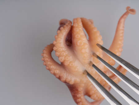 A small octopus on a fork on a gray closeup background. View from aboveの写真素材