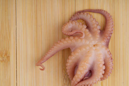 A small octopus on a wooden chopping board closeup. View from aboveの写真素材