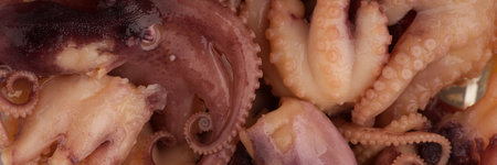 A small octopus among others in the restaurant closeup. View from aboveの写真素材