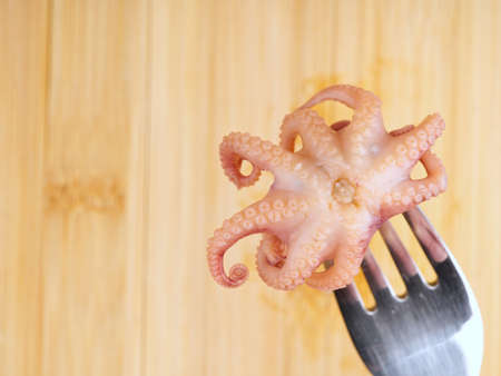 A small octopus on a fork closeup. View from aboveの写真素材
