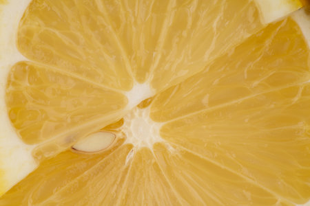 Two slices of lemon closeup. View from aboveの写真素材