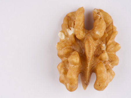 Walnut on a white background closeup. Macro. Space for textの写真素材