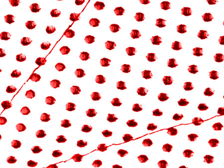 Texture of red dots on a white backgroundの写真素材