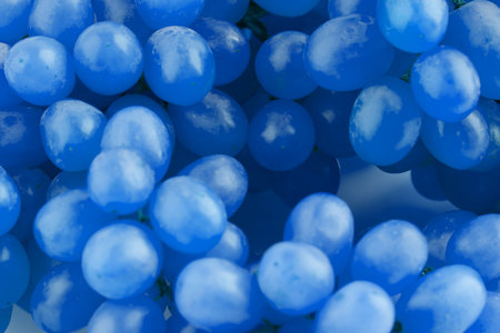 The texture of grapes in blue. Closeupの写真素材