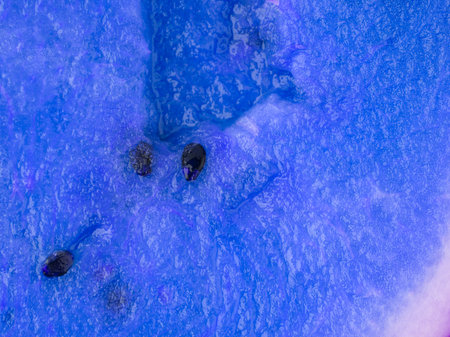 Abstract texture in bright blue with black flecks. closeup.の写真素材