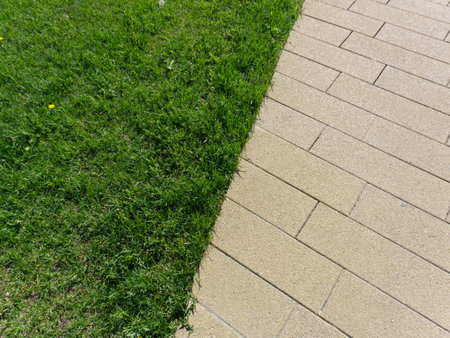 Mowed grass and a path. View from above. Space for textの写真素材