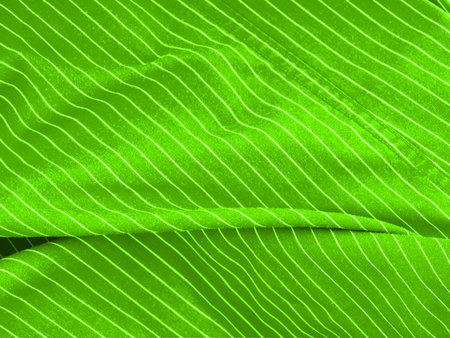 The texture of the fabric in the form of green linesの写真素材