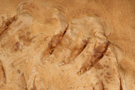 The texture of a banana pie. Closeupの写真素材