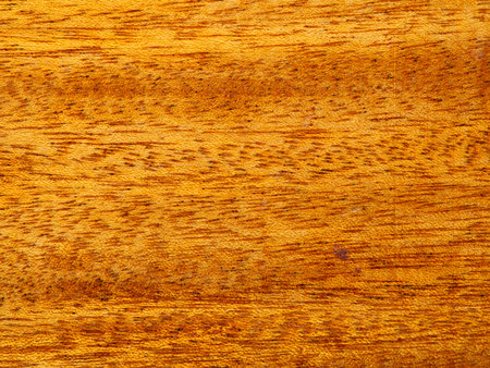 The texture is made of fire colored wood. Closeupの写真素材