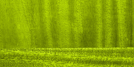 Abstract texture with a very complex bright green pattern. Closeupの写真素材