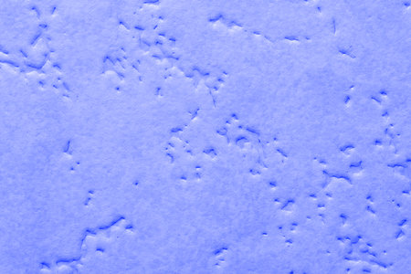The texture is a delicate shade with small patterns of blue. Closeupの写真素材