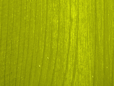 Abstract texture with stripes running from top to bottom in green. Closeupの写真素材