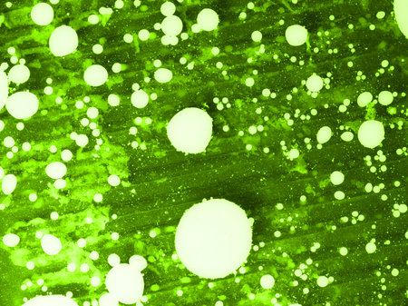 Abstract green texture with white spots. Closeup