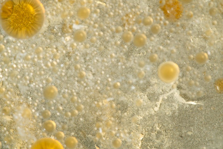 Abstract brown texture with bubbles. view from above. Closeupの写真素材