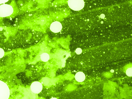 Abstract green texture with white spots. Closeupの写真素材