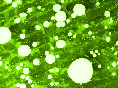 Abstract green texture with white spots. Closeupの写真素材