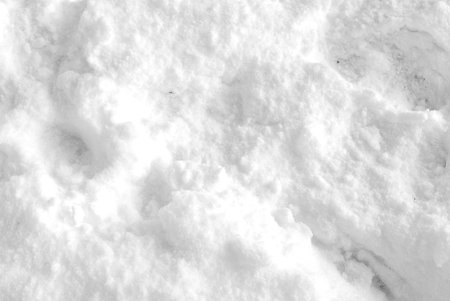 Abstract white texture with a complex pattern and lines. Closeupの写真素材