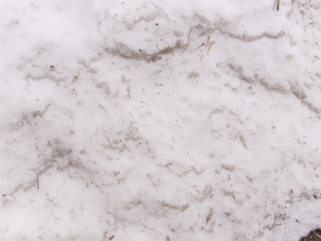 Abstract volumetric texture of white color. Snow. Close.の写真素材