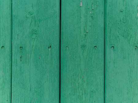 The texture of wooden fence boards. Green color.の写真素材