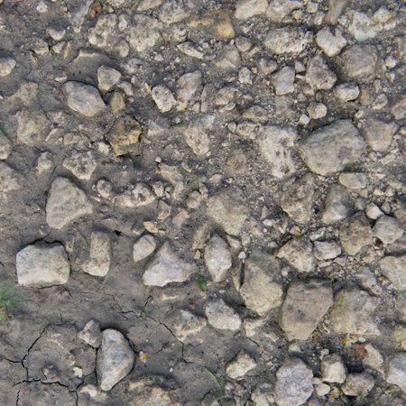 The texture of old concrete with stones frozen in it. Closeup.の写真素材