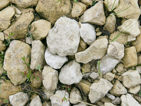 The texture of large stones. View from above.の写真素材
