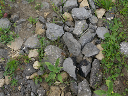 The texture of large stones. View from above. Gray. With green grass.の写真素材