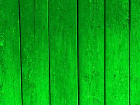 The texture of abstract lines is bright green. Place for the text.の写真素材