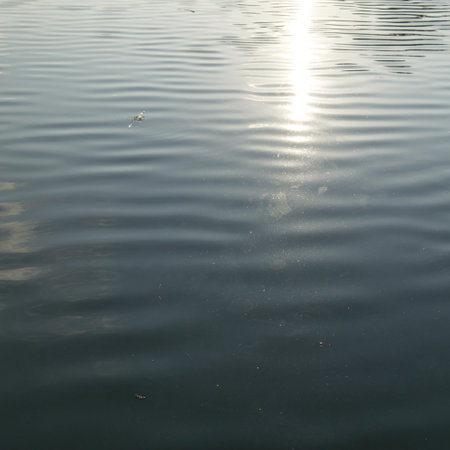 The texture of the surface of the water on the lake. Small waves are visible and the transition from the blue area to the light one.の写真素材