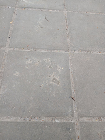 The texture of the tiles on the street is gray. The road is in the city. Vertical snap.の写真素材