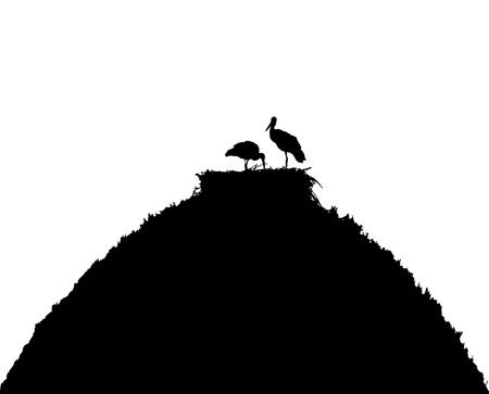 White storks in nest on the roof silhouette.のイラスト素材
