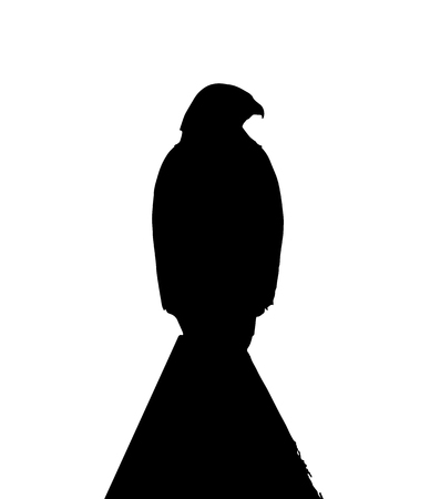 Common buzzard sits on the roof silhouettes.のイラスト素材