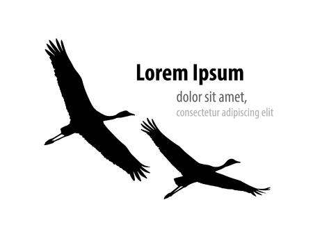 Demoiselle crane in flight silhouette. Template design for banner, t-shirt, cover.